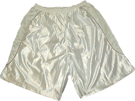 Intense X Mens Basketball Shorts IX-SWR