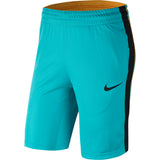 Nike Womens Basketball Dry Shorts - NK-869472-309